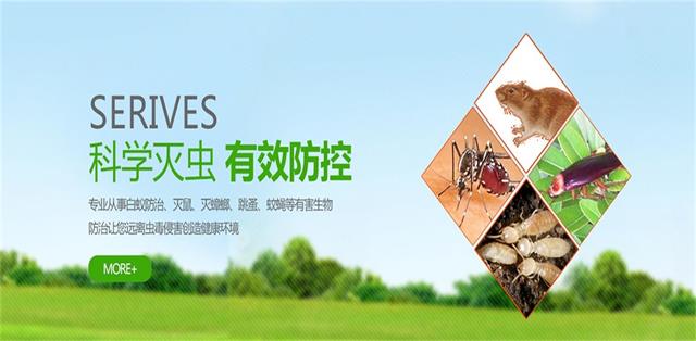 上海灭各类害虫