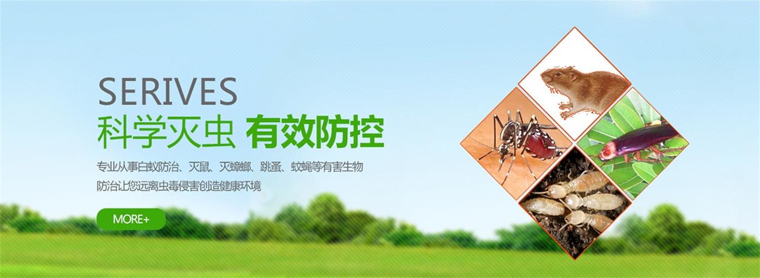 上海灭各类害虫